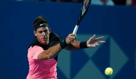 Del Potro avanzó a cuartos de final en Acapulco
