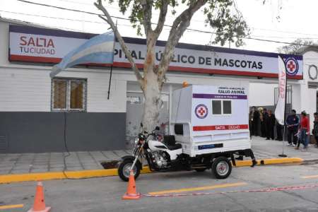 Ex operarios del Hospital de Mascotas piden ser reincorporados