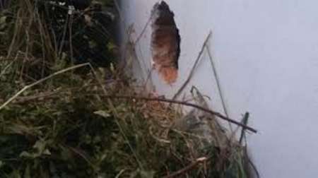 Infraganti: ingresaron por un boquete a robar en un autoparte pero empleados lo evitaron