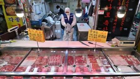 Coronavirus: China prohibirá el comercio y consumo de animales salvajes