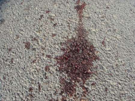 Tiene 16 y le pegó una paliza a la novia a la salida de la carpa: la dejó inconsciente en la calle, bañada en sangre