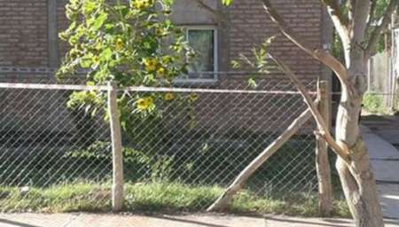 Una mujer fue degollada mientras dormía con su bebé