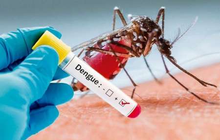 Confirman 126 casos de dengue y ninguno de zika o chikungunya en Salta