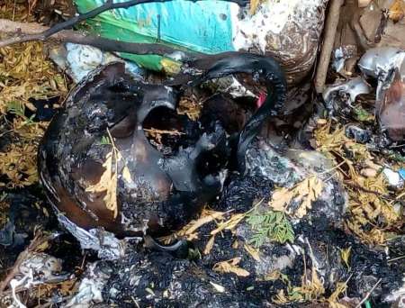 Imagen tomada de www.eltribuno.com/salta