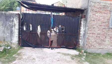 Mamá estaba aprendiendo a manejar y atropelló a sus hijitos: una murió