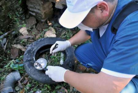 En cuatro días se detectaron 11 nuevos casos de dengue en Salta