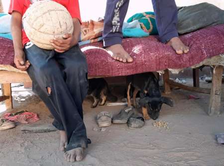 Proteccionistas ayudaron a las mascotas de la población wichi