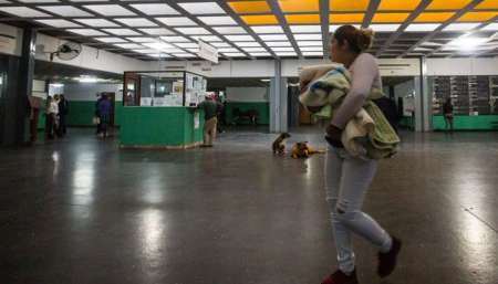 Reclaman elementos e insumos médicos