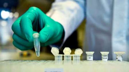 Científicos del Malbrán lograron identificar el genoma del coronavirus local