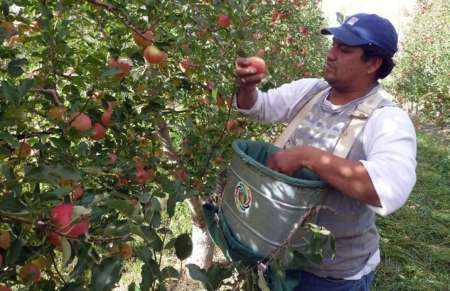 Salteños están encerrados en un hotel del centro y reclaman que no les mandan ni comida