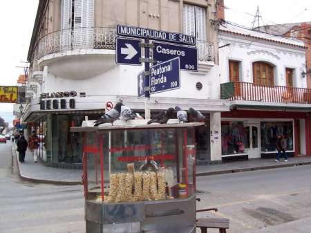 Desesperado pedido de pochocleros salteños: "No tenemos salida, no podemos trabajar"