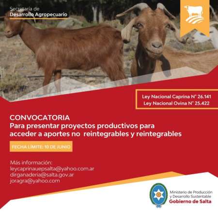 Convocan a presentar proyectos para acceder a los beneficios de las Leyes Nacionales Ovina y Caprina