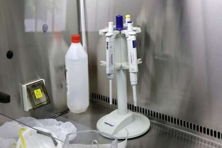 Se espera el resultado de 5 estudios de coronavirus pendientes en Salta