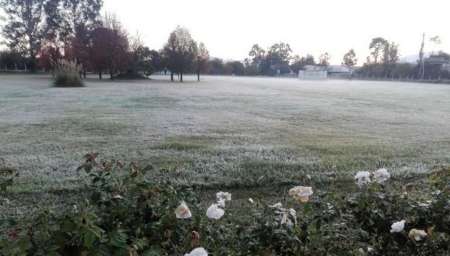 Cayó la primera helada de la temporada en Salta