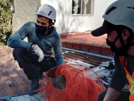 Ordenaron desalojar a un grupo de mascoteros y buscan una nueva base operativa