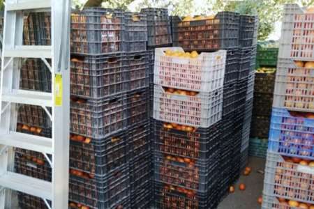 Inspectores decomisaron más de 1600 kilos de cítricos en el puesto El Naranjo