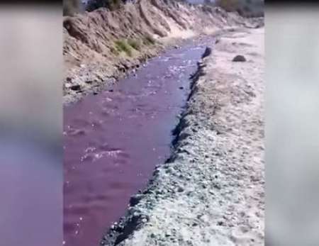VIDEO. Insólito: por un río de Cafayate corrió "vino tinto"