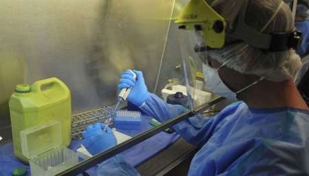 Coronavirus en Argentina: Se registraron 552 nuevos casos y se confirmaron 15 muertos en las últimas 24 horas