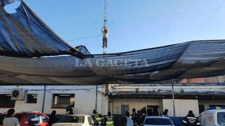 Video: Tensión en Tránsito por un empleado que amenazó tirarse de una antena