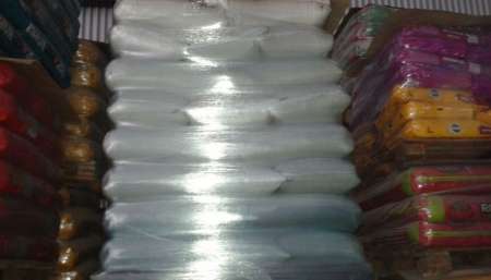 Estafan simulando ser empleados municipales