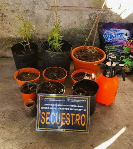 Desarticulan una banda narcocriminal en Salta, cayeron por un asalto a mano armada