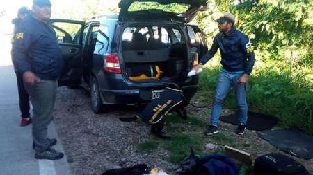 Condenan a una salteña por transportar marihuana y violar la cuarentena