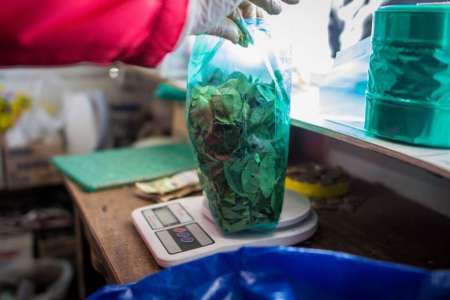 Comienza a derrumbarse el precio de la coca en el norte, menos en Salta capital