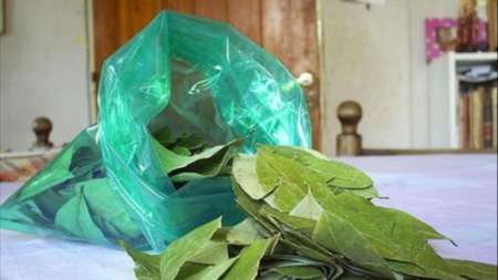 Ordenan el cierre de la zona productora de coca en Bolivia y podría haber desabastecimiento en Salta