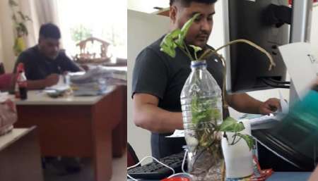 Cobraba por levantar clausuras en Rentas y fue condenado a prisión condicional