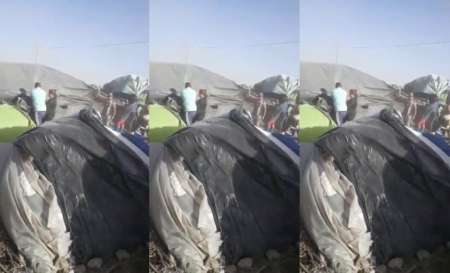 Pánico en el asentamiento de Parque La Vega por el violento temporal: "Se está volando todo"