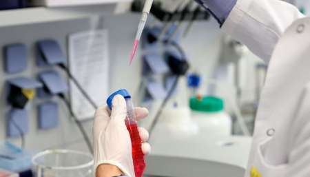 COVID-19: La OMS vaticinó que habrá millones de dosis de una vacuna a fin de año