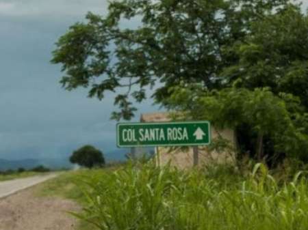 Ocuparon ilegalmente decenas de hectáreas y la Justicia no responde