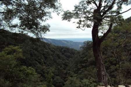 Desmonte en Orán: “Se identificó que había actividad y se dictó la paralización”