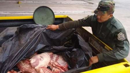 Secuestraron cerca de 180 kilos de carne no apta para el consumo humano