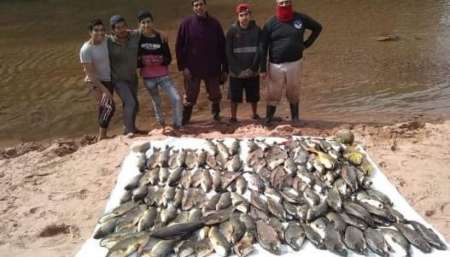 Una verdadera matanza de peces en Anta y Metán
