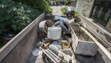 Salta es la segunda provincia con más casos de dengue autóctono en el país