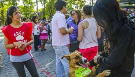 Imagen tomada de www.eltribuno.com/salta