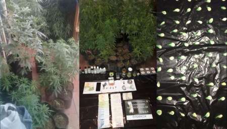 Fuerte golpe contra el microtráfico en la capital salteña