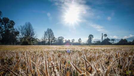 Otra madrugada gélida en Salta: la sensación térmica llegó a los -5,3 grados bajo cero