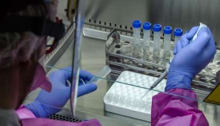 Detectaron seis nuevos casos en Salta