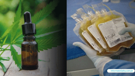 Donación de plasma y cannabis medicinal, vuelven a la agenda de Diputados