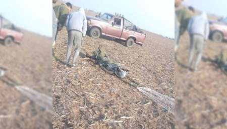 Se estrelló un avión caza de la Fuerza Aérea Argentina: el piloto se eyectó pero murió