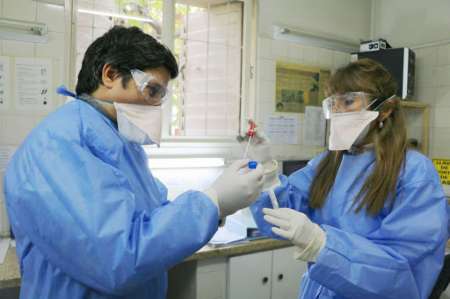 Con 31 nuevos fallecimientos, la Argentina llega a 4.135 muertos por coronavirus