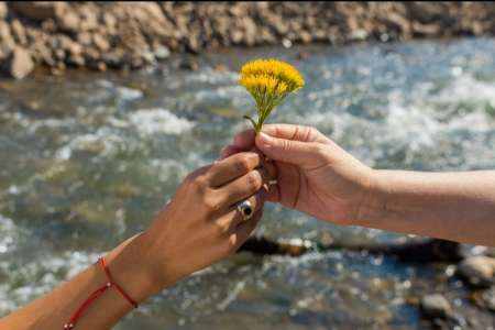"Solidaridad Hoy, para Viajar Mañana": Día Internacional del Turismo LGBTQ+