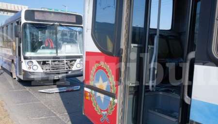 Fuerte choque entre dos colectivos sobre la Ex Combatientes de Malvinas