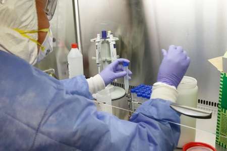 Inician pruebas en humanos en varios países