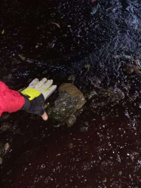 Detienen a un joven que tiró una roca al dique San Roque en Córdoba