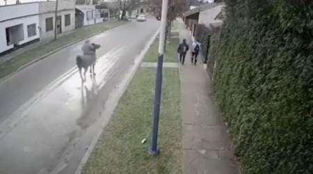 "Caballochorros", la última moda para delinquir en Buenos Aires