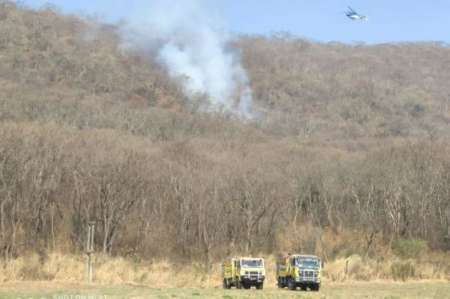 Los incendios en zona norte no cesan