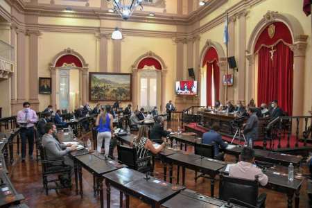 Senado: piden a Nacion que se regularice el ingreso de hoja de coca